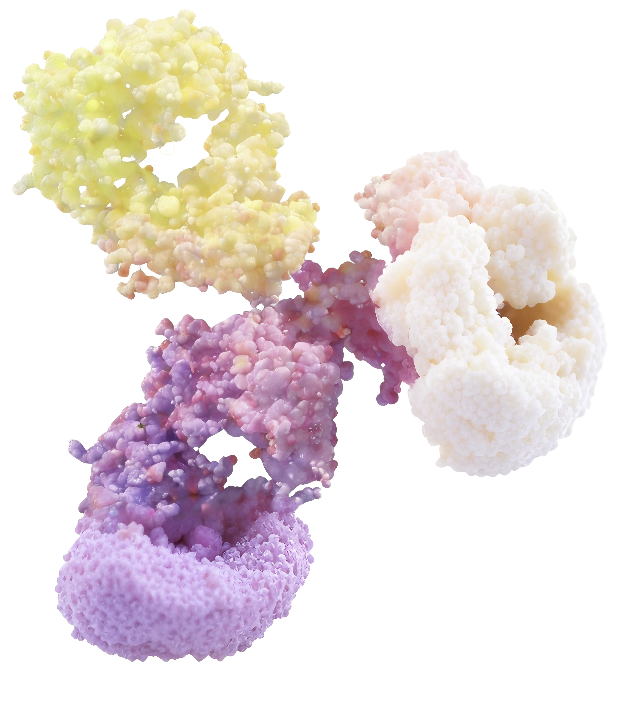 碳硅智慧科技平台